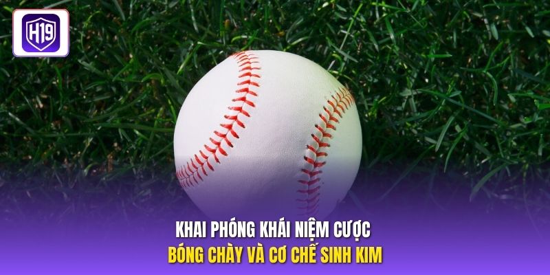 Khai phóng khái niệm cược bóng chày và cơ chế sinh kim